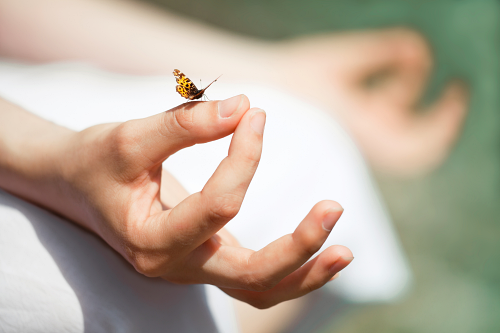 Wat Is De Spirituele Betekenis Van Vlinders